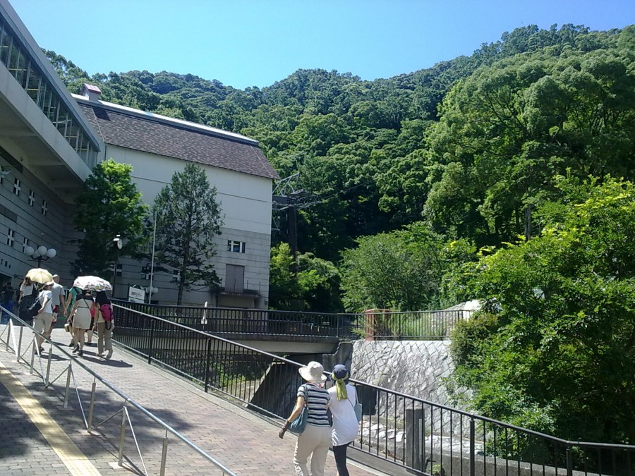 20100806079.jpg