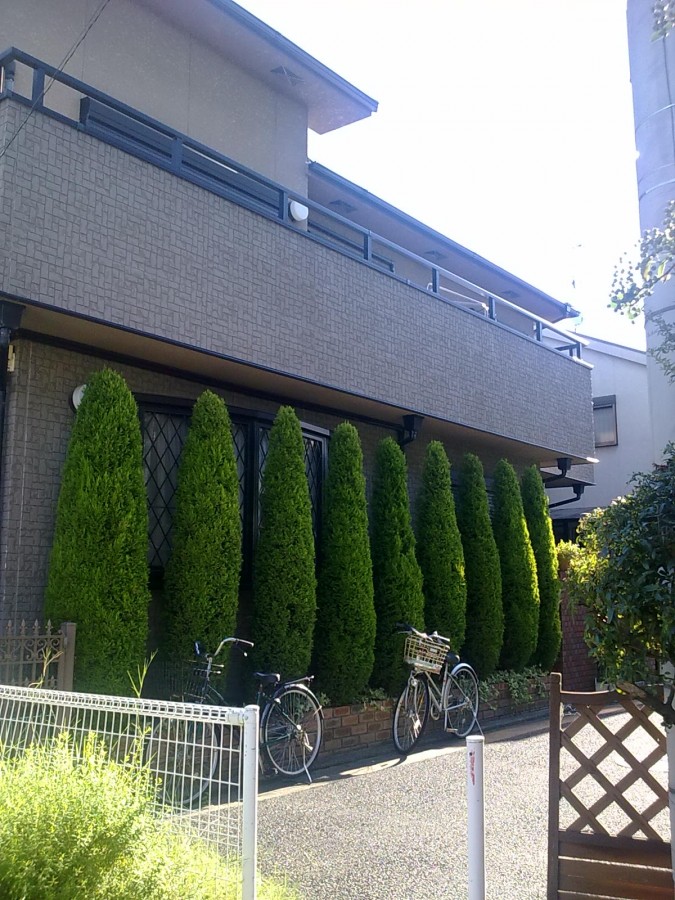 20100805043.jpg